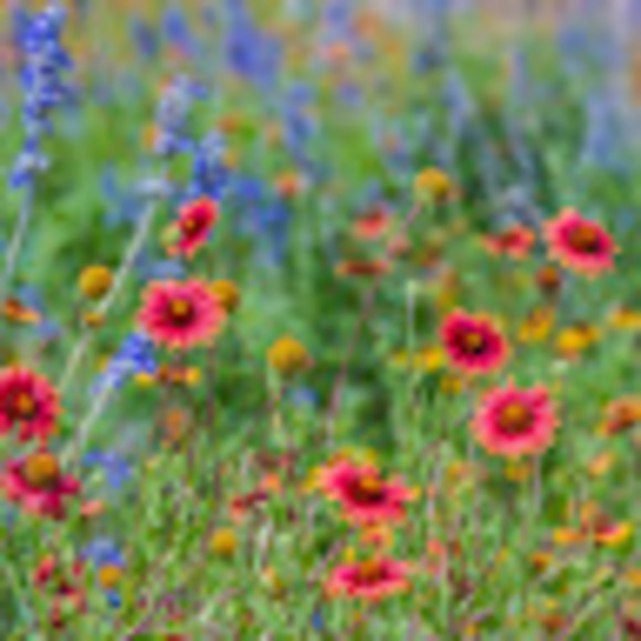 Meet your Posher, Christine - Picture 1 of 1